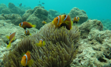 몰디브 가성비여행05