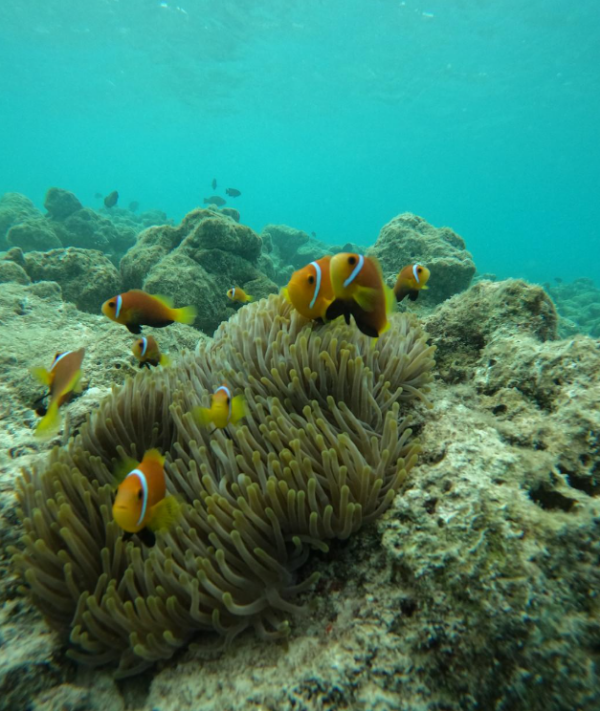 몰디브 가성비여행05