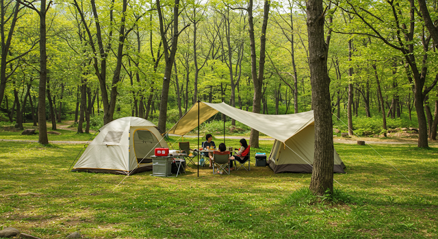 필수 준비물 & 진드기 예방법