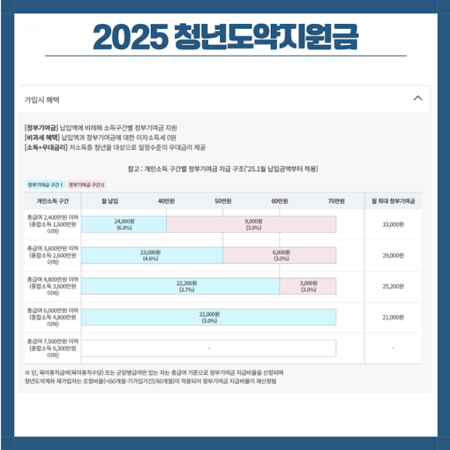 청년도약지원금 청년도약지원금