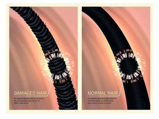 손상된 머리카락 좋은 머리카락